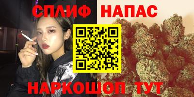 стафф Гудермес