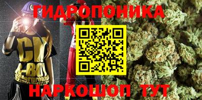 гидра Долгопрудный