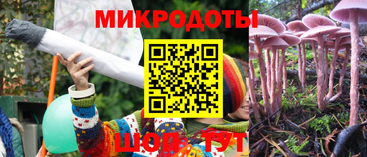 Бор  Псилоцибиновые грибы MAGIC MUSHROOMS  Галлюциногенные грибы GOLDEN TEACHER  Вход с VPN 